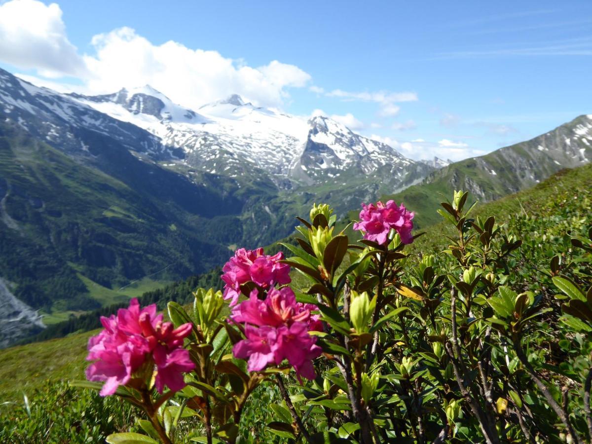 Alpenrose Tux Appartement Buitenkant foto